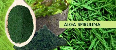 La Espiral Verde Jabón de Algas Espirulina y Laminaria Atlántica con Aceite de Oliva y A.E. Naranja - 100 gr
