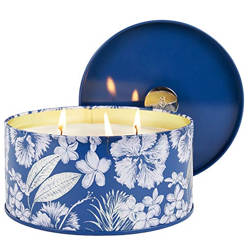 La Jolíe Muse Vela perfumada de 400 grs. para Regalo, aroterapia Algodón crocante, Vela de Cera de Soja Natural de 3 mechas  