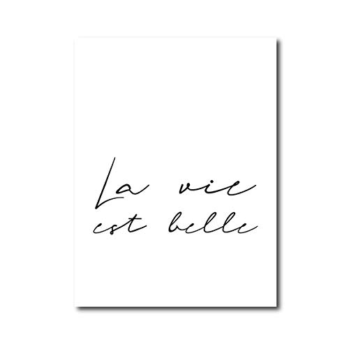 La vie est belle French Quote Black White Canvas Poster Flowers Wall Art Painting Print Nordic Decorative Picture Home Decor/40x50cmx2Pcs-Sin marco
