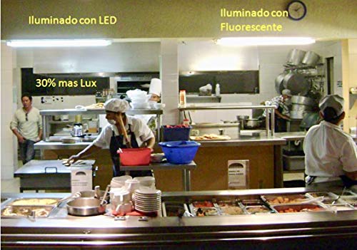 (LA)10x Tubo de LED 360 grados, 120cm, blanco frío (6500K). Standard T8 G13-18w - luz blanca - 1800 lumenes. Venta desde ESPAÑA- Envio gratis