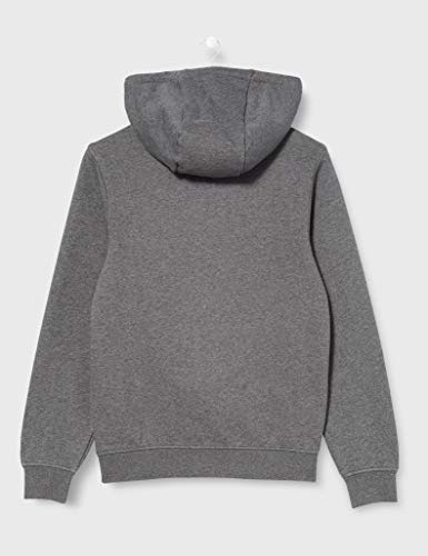 Lacoste Sport Sh1527 Suéter, Bitumen China/Graphite SOM, S para Hombre