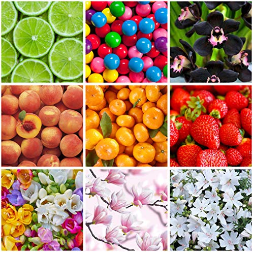 Lagunamoon Aceites de Fragancia, Aceites Esenciales para Humidificador, Aceite para Aromaterapia 10ml - Melocotón