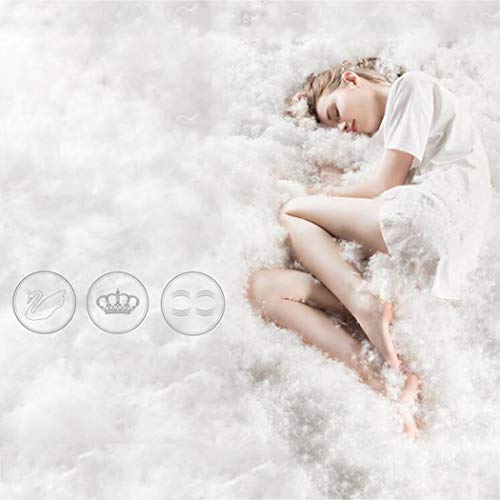 LanPerro Ganso Blanco Edredón King Size, 850 Energía del Terraplén, All Seasons Hotel Inicio Ganso Edredón con El Cantón Aquí, Regalar 2 Genuino Almohadas De Plumas,220 * 240CM 3KG
