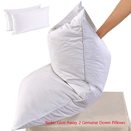 LanPerro Ganso Blanco Edredón King Size, 850 Energía del Terraplén, All Seasons Hotel Inicio Ganso Edredón con El Cantón Aquí, Regalar 2 Genuino Almohadas De Plumas,220 * 240CM 3KG