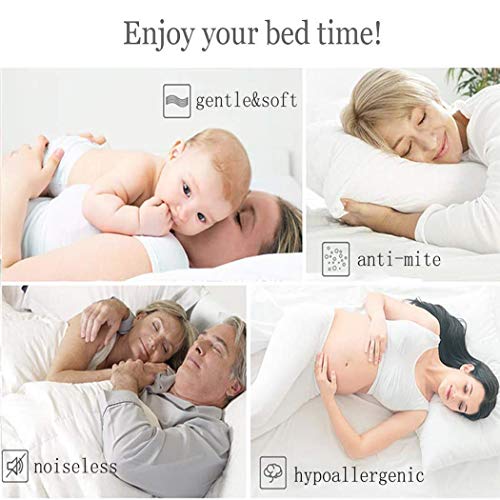 LanPerro Ganso Edredón King, 95% Blancos Ganso, All Seasons Europea Ganso Edredón con El Cantón Aquí, Mullido Medio Calor,180 * 220CM 4KG