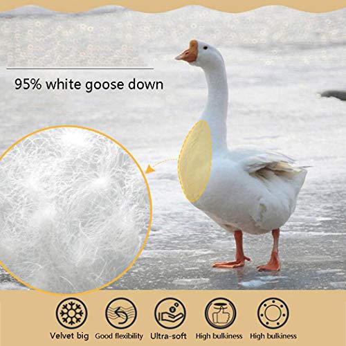LanPerro Ganso Edredón King, 95% Blancos Ganso, All Seasons Europea Ganso Edredón con El Cantón Aquí, Mullido Medio Calor,180 * 220CM 4KG
