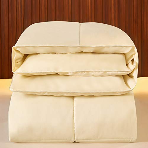 LanPerro Ganso Edredón King, 95% Blancos Ganso, All Seasons Europea Ganso Edredón con El Cantón Aquí, Mullido Medio Calor,180 * 220CM 4KG