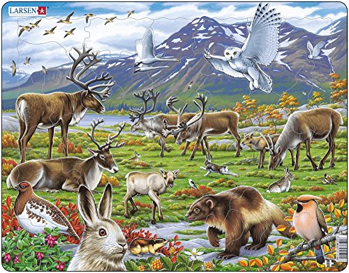 Larsen FH14 La Flora y la Fauna de la Tundra ártica, Puzzle de Marco con 50 Piezas