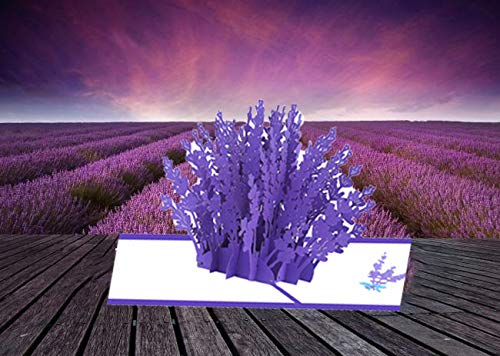 Lavanda 3D Saludo Tarjeta emergente Dulce regalo para madre Esposa Hija Novia Abuela