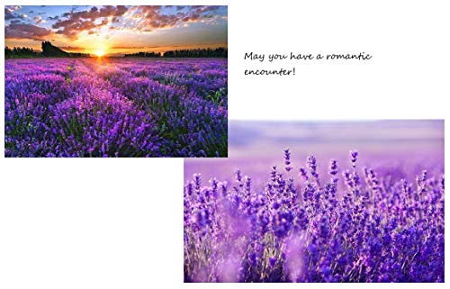 Lavanda 3D Saludo Tarjeta emergente Dulce regalo para madre Esposa Hija Novia Abuela