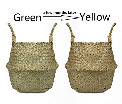Lawei 2 Piezas Seagrass cesta de cesteria de mimbre plegable colgante maceta Cesta de Almacenamiento de Flor Cesta de Lavandería Plegable Trenzada Suciedad - S