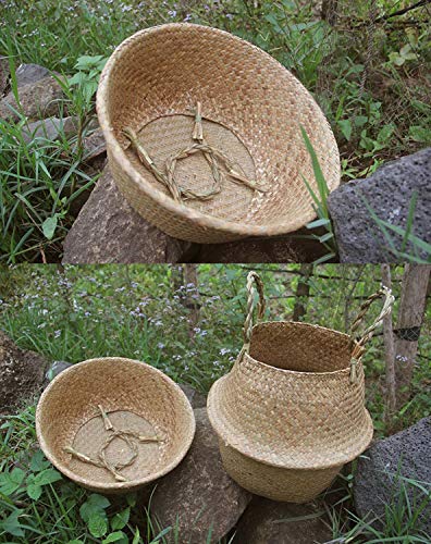 Lawei 2 Piezas Seagrass cesta de cesteria de mimbre plegable colgante maceta Cesta de Almacenamiento de Flor Cesta de Lavandería Plegable Trenzada Suciedad - S