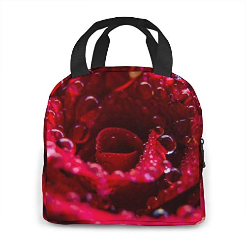 Lawenp Bolsa de almuerzo con aislamiento impermeable Rose Closeup, lonchera térmica reutilizable con bolsa de mano para el trabajo escolar, viajes al aire libre