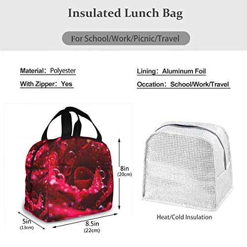 Lawenp Bolsa de almuerzo con aislamiento impermeable Rose Closeup, lonchera térmica reutilizable con bolsa de mano para el trabajo escolar, viajes al aire libre