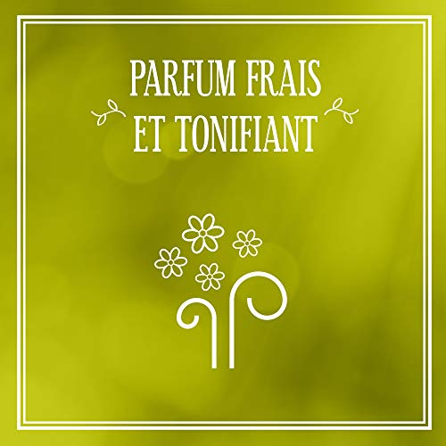 Le Petit Marseillais aceite anti celulitis tonifiante té verde 150 ml – juego de 2