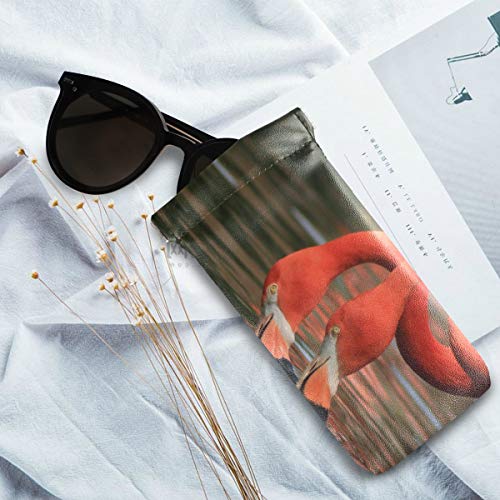 LENNEL Gafas de sol Bolsa Joyas Bolsa Luz Flamingo Agua Rosa Estuches para gafas Almacenamiento lindo para mujer Hombres Squeeze Top Portable