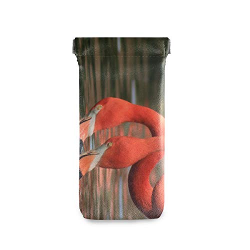 LENNEL Gafas de sol Bolsa Joyas Bolsa Luz Flamingo Agua Rosa Estuches para gafas Almacenamiento lindo para mujer Hombres Squeeze Top Portable