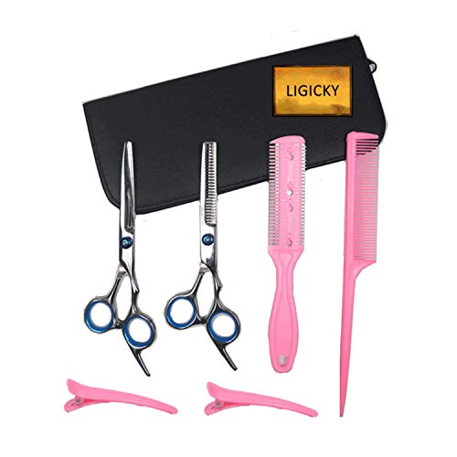 LIGICKY Juego de Tijeras y Útiles de Peluquería Peluquero Profesional acero inoxidable Entresacar/Texturización Tijeras para Barbero/Salón/Hogar