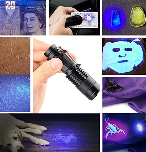 Linterna UV, Luz Negra, Ultravioleta pequeña mano 395 nm LED, Detector de orina para mascotas, perros y gatos, Lámpara UV para Inspección de Agentes Fluorescentes, 1 Batería AA incluida.