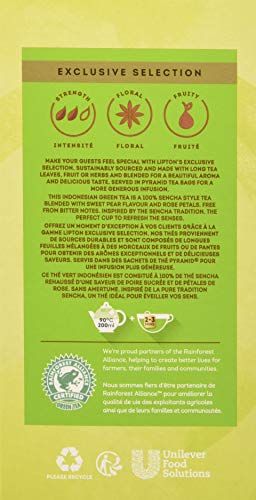Lipton Selección Exclusiva Té Verde Sencha - 6 Cajas con 25 Pirámides, Pack de 1