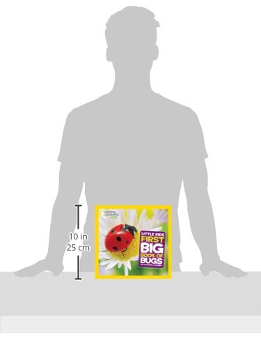 Little Kids First Big Book Of Bugs