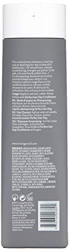 Living proof Perfect Hair Day Shampoo - 236 ml (1389/LP)
