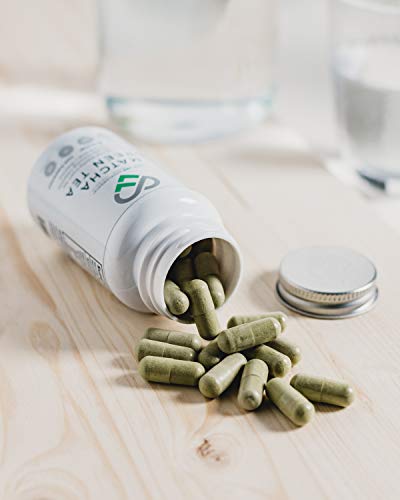 LLS Té verde japonés matcha | Potente antioxidante que protege las células del estrés oxidativo | Sin agentes de carga: solo matcha puro | 60 cápsulas | Producido en el Reino Unido bajo certificación GMP