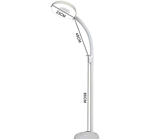 LMZJLU 8X Lupa Lámpara de Lupa de Brazo Ajustable Cuidado de la Piel Belleza Salón de Tatuajes de uñas SPA y Montaje en el Piso Ojos no Seguros y Resistentes (Blanco)