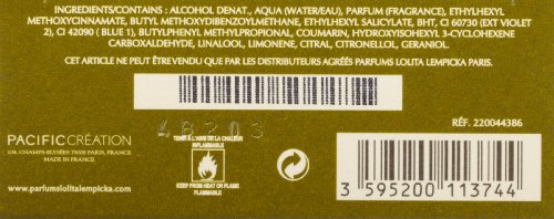 Lolita Lempicka Au Masculin Men Eau De Toilette 100 Ml