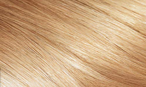 L'Oreal, Coloración semipermanente - 1 unidad