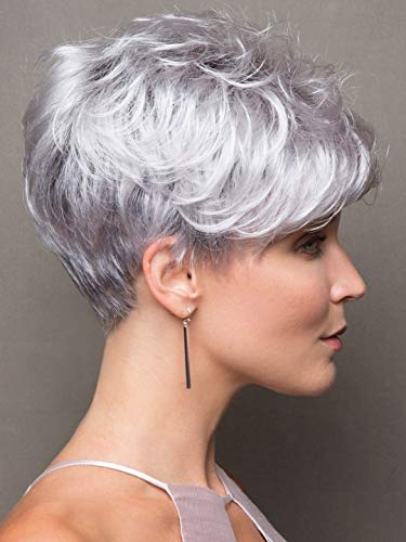 Loreal Silver Champu Cabellos Blancos y Grises 500ml + Salerm 02 Volumen Spray Anti-Yellow Efecto Matizador Fijacion Media 250ml