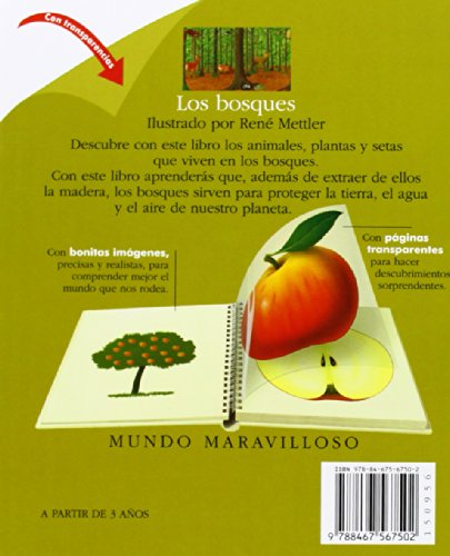 Los bosques (Mundo maravilloso)