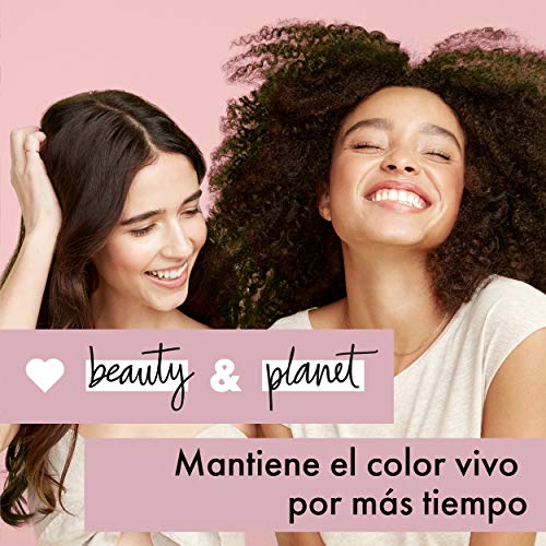 Love Beauty and Planet Champú para Cabello teñido, Manteca de Murumuru y Rosa Vegano - Pack de 3 x 400 ml (Total: 1200 ml)