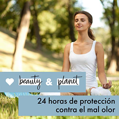 Love Beauty and Planet Desodorante Roll-on, Agua de Coco y Flor de Mimosa Vegano - Pack de 3 x 50 ml (Total: 150 ml)