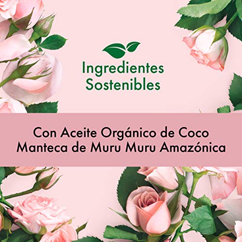 Love Beauty and Planet Gel de Ducha para Piel seca, Manteca de Murumuru y Rosa Vegano - Pack de 3 x 500 ml (Total: 1500 ml)