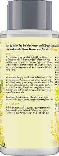 Love Beauty And Planet Hope & Repair - Champú para cabello dañado, aceite de coconut y Ylang Ylang Flower sin silicona, 1 unidad (400 ml)