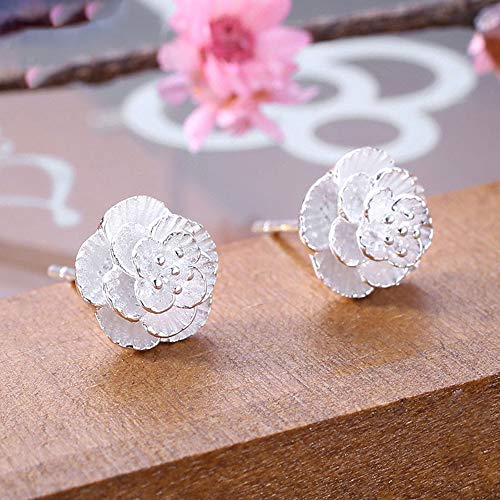 Lumanuby 2X Color Plata Arete Pendientes Mujer Plata con para Regalo San Valentín Pendientes Joyas Regalo Pendientes de Moda