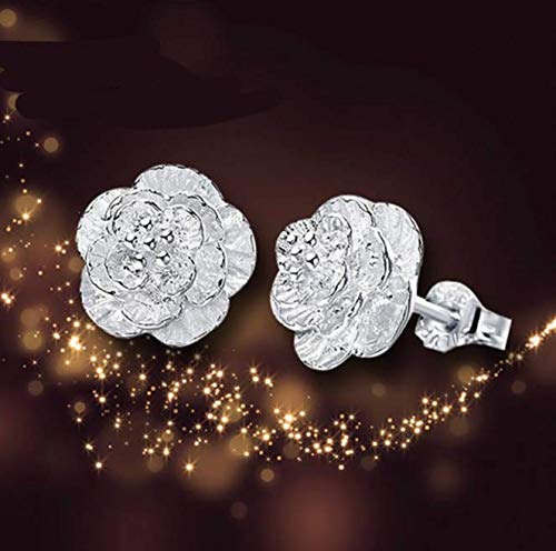 Lumanuby 2X Color Plata Arete Pendientes Mujer Plata con para Regalo San Valentín Pendientes Joyas Regalo Pendientes de Moda