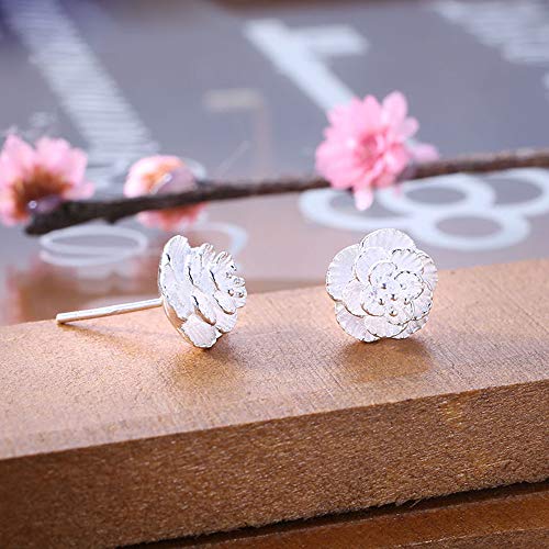 Lumanuby 2X Color Plata Arete Pendientes Mujer Plata con para Regalo San Valentín Pendientes Joyas Regalo Pendientes de Moda