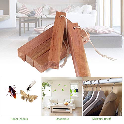Madera de Cedro, Juego de Repelente contra de Polilla de Cedro Natural de Formas Mixtas, Accesorios de Almacenamiento, Desodorante de Armarios y Cajones, Paquete de 39 y Papel de Lija