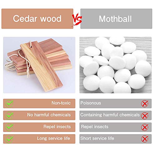 Madera de Cedro, Juego de Repelente contra de Polilla de Cedro Natural de Formas Mixtas, Accesorios de Almacenamiento, Desodorante de Armarios y Cajones, Paquete de 39 y Papel de Lija