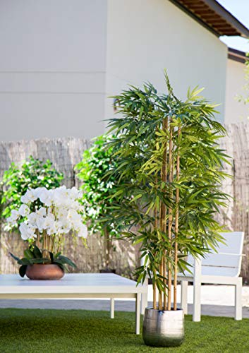Maia Shop Bambú Cañas Naturales, Ideal para Decoración de Hogar, Árbol, Planta Artificial (180 cm), Materiales Mixtos