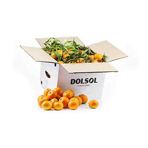 Mandarinas de Valencia DOLSOL. (10kg) De familia de agricultores con campos en Tavernes de la Valldigna desde 1977. ¡El sabor es lo nuestro!