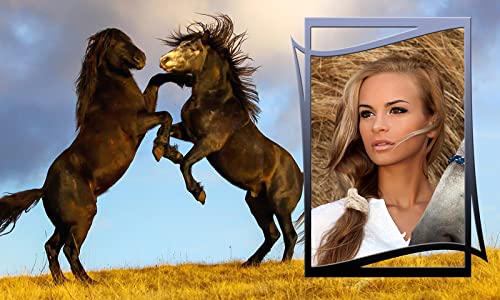 Marcos de la foto del caballo