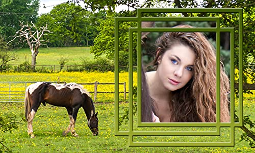 Marcos de la foto del caballo