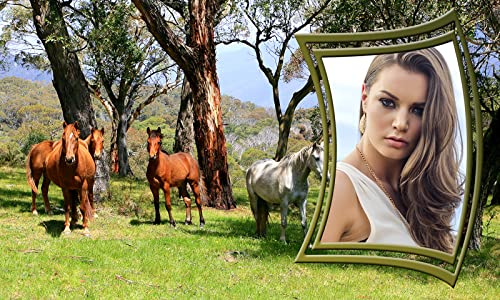 Marcos de la foto del caballo