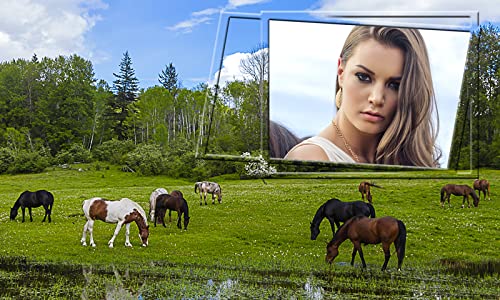 Marcos de la foto del caballo