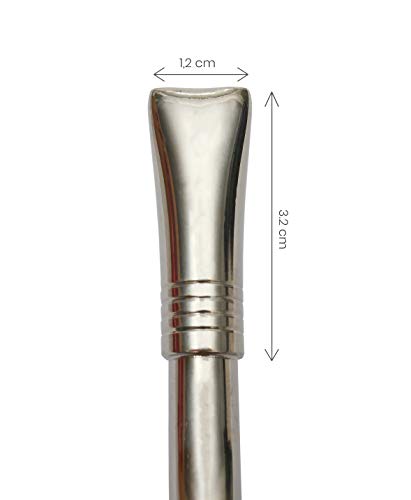 Mate Green Yerba Mate y Bombilla, Plata y Azul Marino, 21 cm