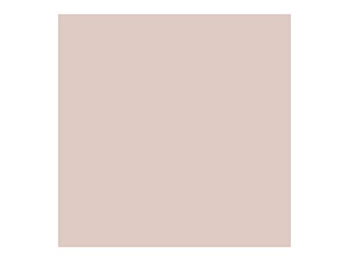 Mavala Mini Colors Pintauñas | Esmalte de Uñas | Laca de Uñas | 47 Colores Diferentes, Color Rose Dust 164 (Topo), 5 ml