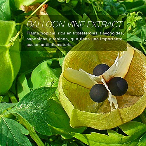 Maystar Skincare – Crema Reparadora con Color, Protección Solar 50, Antiedad, Gama Sun Supreme, 50 ml